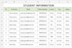 accurate english typing and data entry