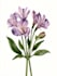 draw a scientific illustration