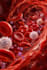 create medical animation videos using ai