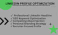 professionally optimize your linkedin profile