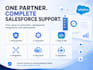 build, automate, and optimize your salesforce CRM