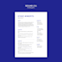 write, rewrite, and review a professional ats resume