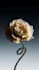 do 3d flower animation 3d flower model 3d plant animation flower animation