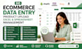 do ecommerce data entry product upload excel and spreadsheet management