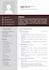 design a professional CV resume