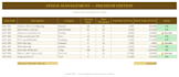 create your personalized excel stock management