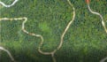 create gis, attributing data, geospatial analyze
