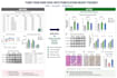 create publication ready scientific figures and graphs