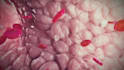 create 3d pharmaceutical mechanism of action moa animation