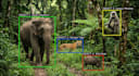create object detection, computer vision and python open CV systems