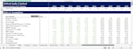 build an excel based financial model