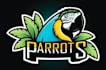 create amazing hamming bird mascot logo design