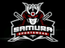 draw wonderful samurai knight mascot logo design