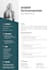 design a professional and modern CV or resume