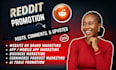 execute reddit SEO post campaign for website promotion
