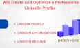 create and optimize a professional linkedin profile