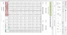 create professional field force expense sheet with auto formulas