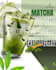design professional corporate flyer