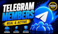 telegram promotion, tg members, telegram group, telegram admin, telegram ads