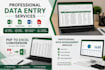 do accurate data entry , excel and googlesheets work