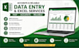 do accurate data entry and excel spreadsheet work