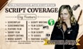 screenplay script coverage, story analysis, feedback and rewrite suggestions