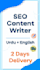 write SEO blog  posts in urdu and english for your website
