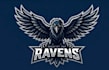 make creative wall mural ninja raven mascot logo