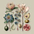 illustrate best botanical illustration