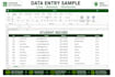 do accurate data entry, typing and ms excel work