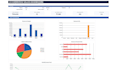 create an interactive excel dashboard and data visualization