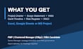 create a professional project plan with wbs, gantt timeline and risk register
