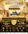 design a professional and eye catching flyer