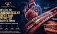 design 3d cardiovascular stent  and catheter  animation
