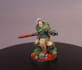 paint your miniatures for rpg wargaming or collection
