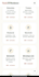 create a professional SEO optimized website
