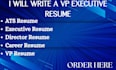 write a vp executive resume