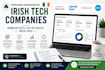 do bookkeeping for irish tech companies using netsuite, sap or oracle