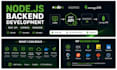 build a professional nodejs express API with mongodb and authentication