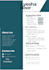 design a professional CV resume in canva