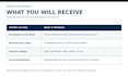 test your ai web app for bugs and UX issues