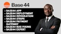 build base 44 app, base 44 integration, base 44 automation, base 44 webapp fix