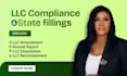 file llc amendment dissolution annual report and reinstatement