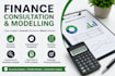 do financial consultation and modelling, financial audit