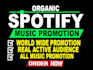do organic spotify music promotion and playlist pitching