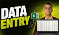 do excel database entry, cleanup, and organization