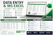 data entry, data cleaning, excel