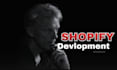 assist with shopify customization and design