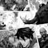 make a professional comic book page