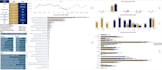 create a professional excel dashboard